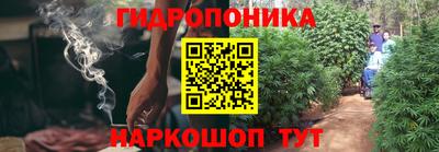 прущие крисы Кулебаки